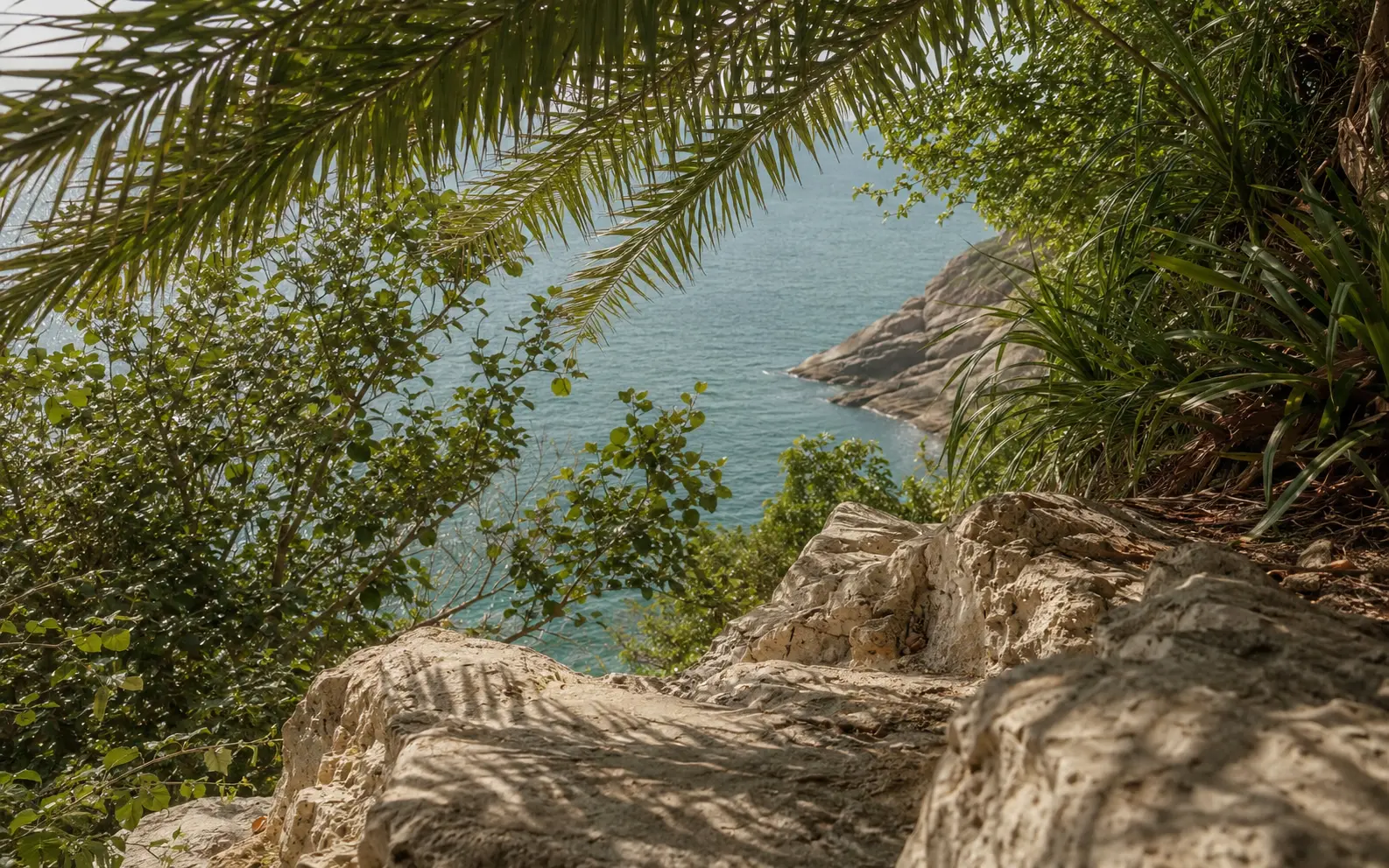 Tropische Natur in Phuket am ruhigen Meer